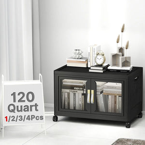 UAMFURI black clear door storage cabinet 1-tier large