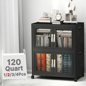 UAMFURI black clear door storage cabinet 2-tier large