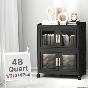 UAMFURI black clear door storage cabinet 2-tier medium